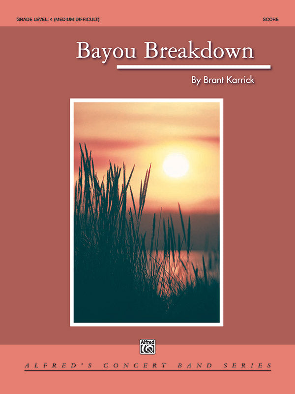 Bayou Breakdown Cover Image