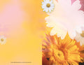 Recital Program Blanks - Spring Cover Image