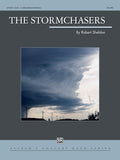 The Stormchasers Cover Image