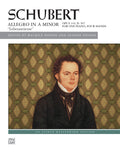 Schubert: Allegro in A Minor, Opus 144 ("Lebensstürme") Cover Image