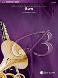 Burn Cover Image