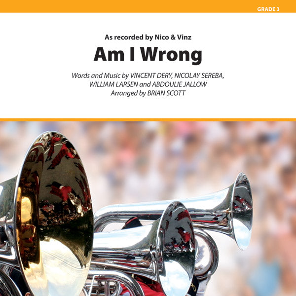 Am I Wrong Sheet Music Preview