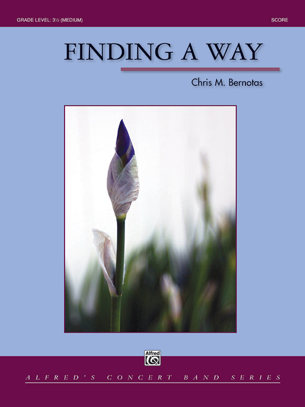 Finding a Way Cover Image