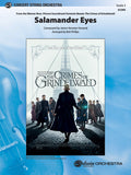 Salamander Eyes Cover Image