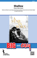 Shallow Cover Image