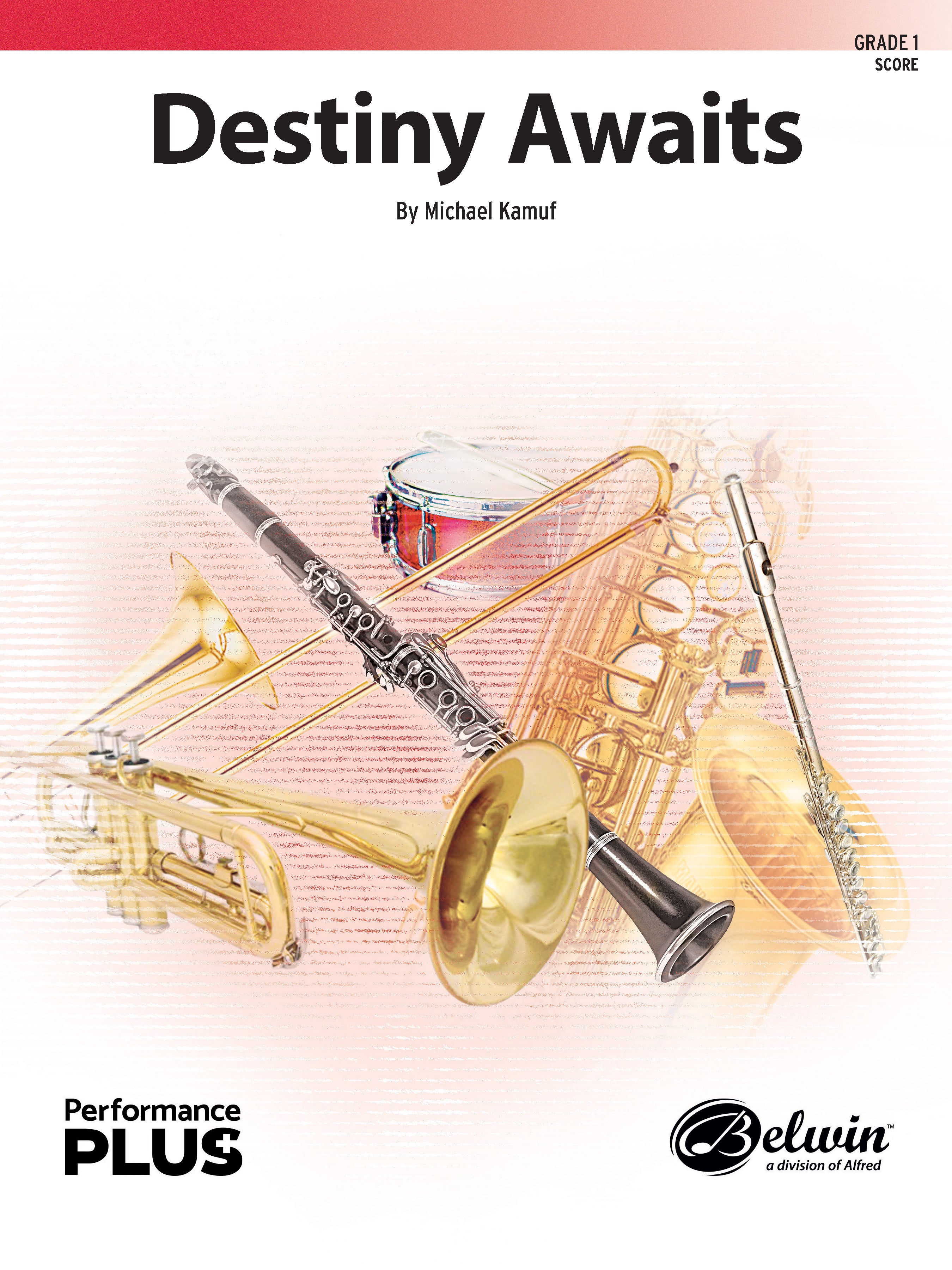 Destiny Awaits Cover Image