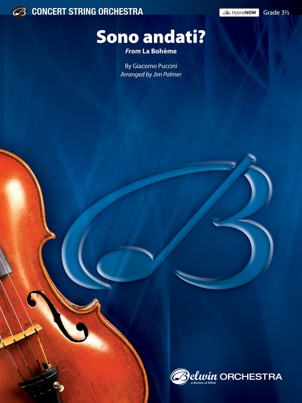 Sono andati? Cover Image