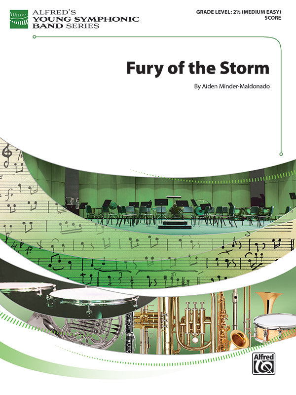 Fury of the Storm Cover Image