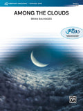 Among the Clouds Cover Image