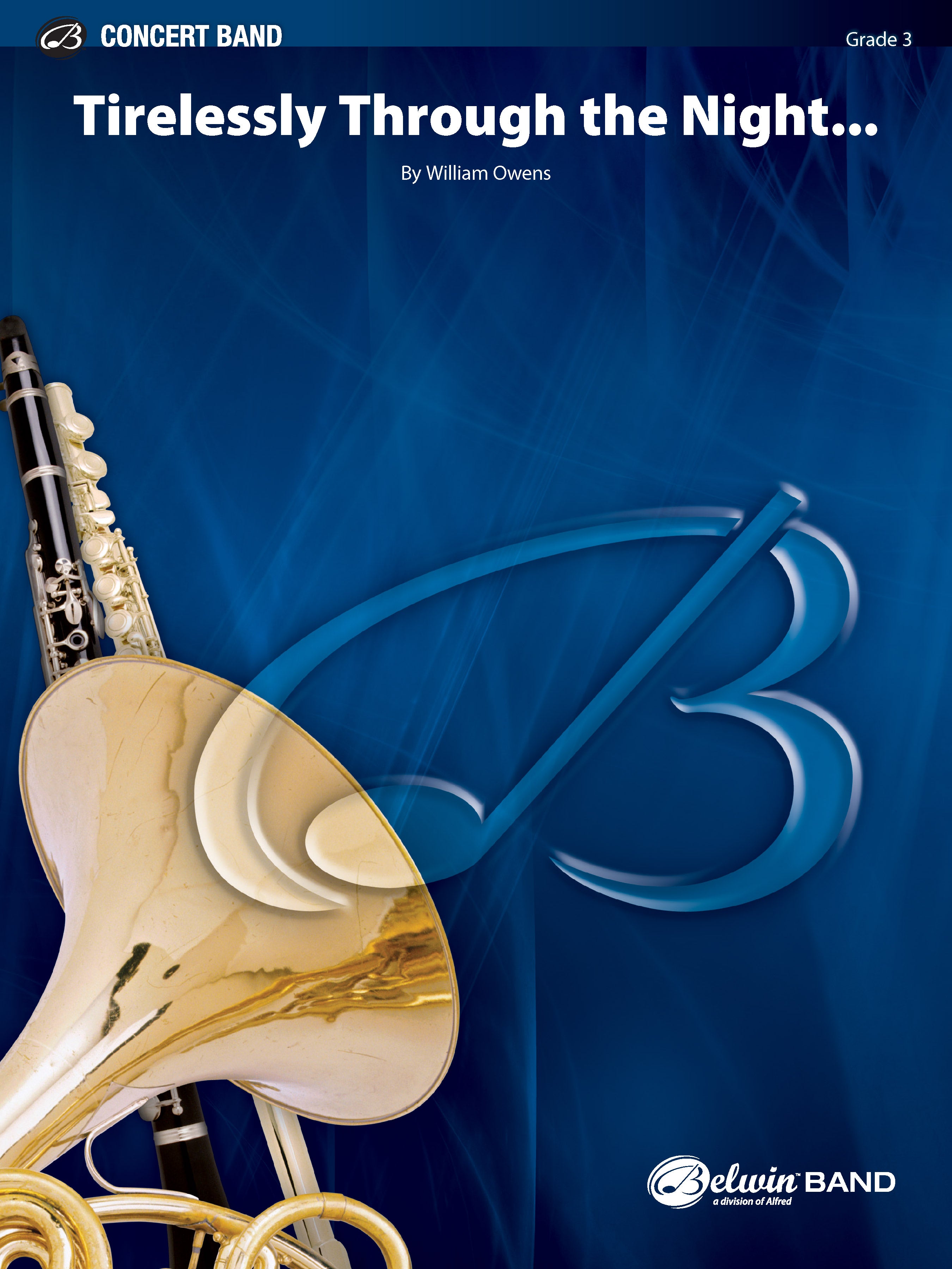 Tirelessly Through the Night... Cover Image