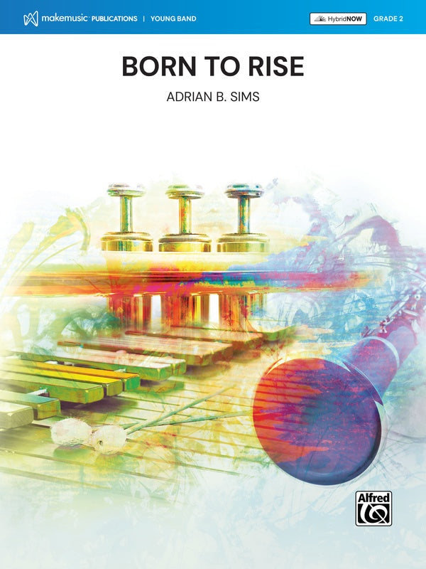 Born to Rise Cover Image