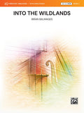 Into the Wildlands Cover Image