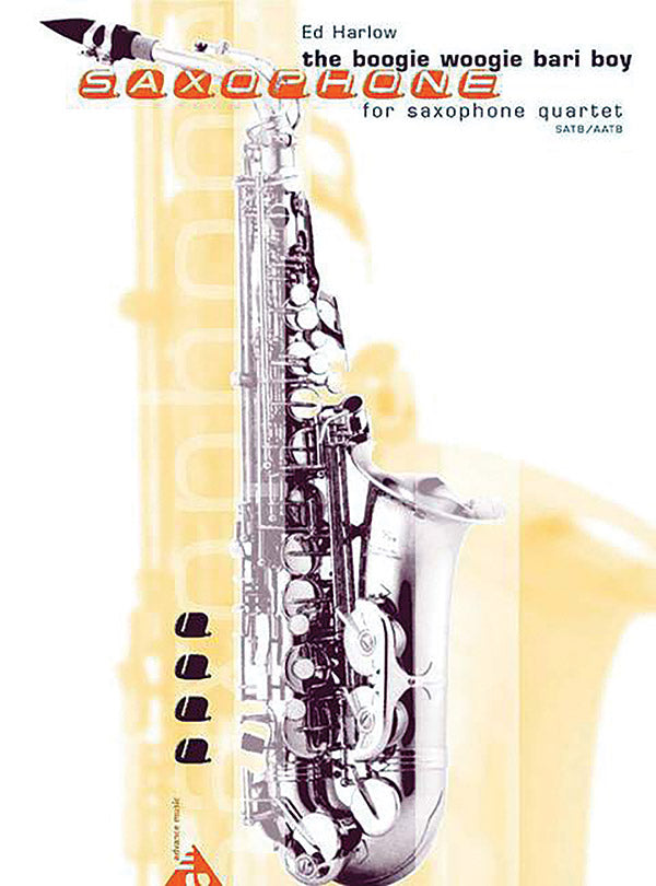 The Boogie Woogie Bari Boy Cover Image
