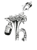 Greeting Cards: Trumpet (Pack of 8) Cover Image