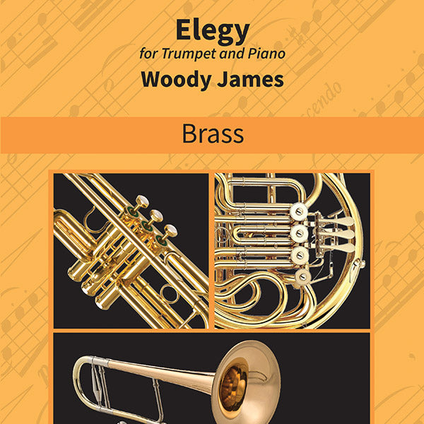 Elegy Cover Image