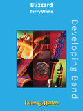 Blizzard Cover Image