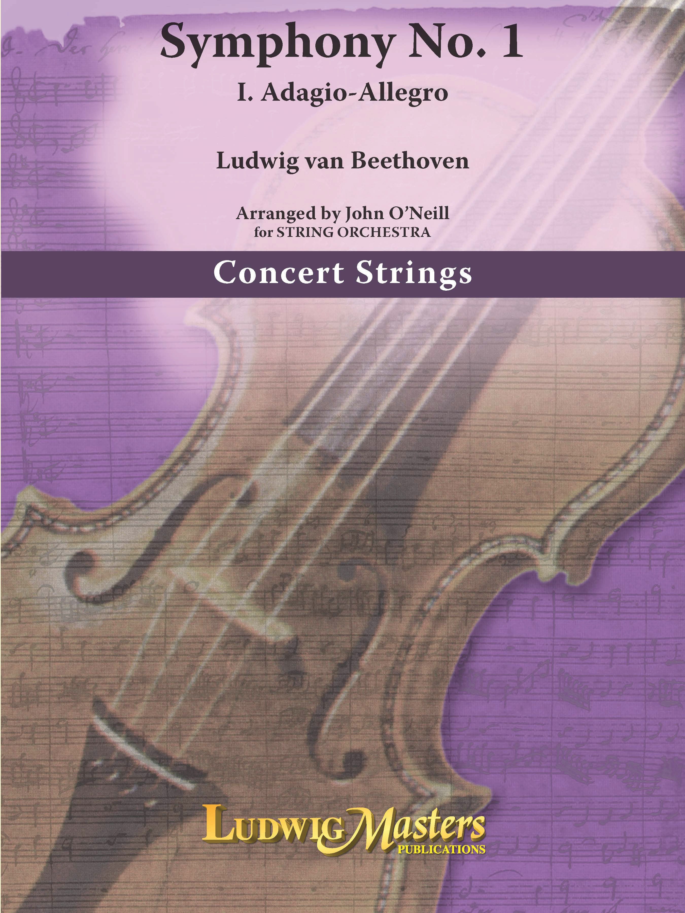 Symphony No. 1: Mvt. 1 for String Orchestra Cover Image