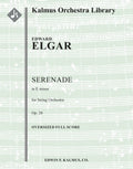 Serenade in E minor, Op. 20 Cover Image