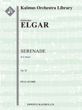 Serenade in E minor, Op. 20 Cover Image