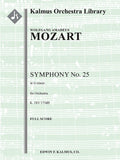 Symphony No. 25 in G minor, K. 183/173dB Cover Image