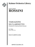 Variazioni di Clarinetto (Variations for Clarinet and Small Orchestra) Cover Image