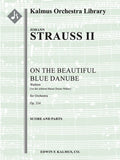 An der Schoenen, Blauen Donau Walzer, Op. 314 (On the Beautiful Blue Danube Waltzes) Cover Image