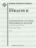 Geschichten aus dem Wienerwald Walzer, Op. 325 (Tales from the Vienna Woods Waltz) Cover Image
