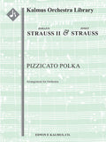 Pizzicato Polka (arrangement) Cover Image