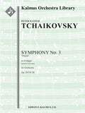 Symphony No. 3 in D, Op. 29/TH 26 (Polish) Cover Image