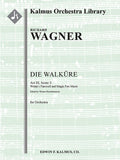 Die Walkuere: Act III, Sc. 3: Wotans Abschied und Feuerzauber [concert arrangement](Wotan's Farewell and Magic Fire Scene) Cover Image