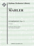 Symphony No. 3 in D minor Cover Image