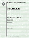 Symphony No. 5 in C-sharp minor (3rd version) Cover Image