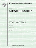 Symphony No. 1 in C Minor, Op. 11 Cover Image