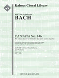 Cantata No. 146: Wir muessen durch viel Truebsal in das Reich Gottes eingehen, BWV 146 Cover Image