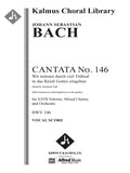 Cantata No. 146: Wir müssen durch viel Trübsal in das Reich Gottes eingehen, BWV 146 Cover Image