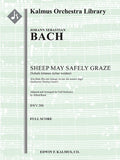 Sheep May Safely Graze (Schafe konnen sicher weiden) from Was mir behagt, ist nur die muntre Jagd (Jagdkantate/ Hunting Cantata), BWV 208 Cover Image