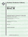 Sheep May Safely Graze (Schafe konnen sicher weiden) from Was mir behagt, ist nur die muntre Jagd (Jagdkantate/ Hunting Cantata), BWV 208 Cover Image