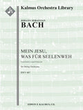 Mein Jesu, was fuer Seelenweh, BWV 487 Cover Image