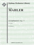 Symphony No. 7 in E minor Cover Image