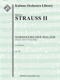 Nordseebilder Walzer, Op. 390 Cover Image