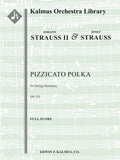 Pizzicato Polka Cover Image