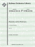 Pizzicato Polka Cover Image
