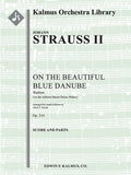 An der Schoenen, Blauen Donau Walzer, Op. 314 (On the Beautiful Blue Danube Waltzes) Cover Image