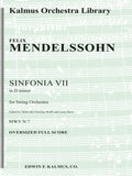 Sinfonia No. 7: String Symphony in D minor Cover Image