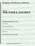 Sinfonia No. 7: String Symphony in D minor Cover Image