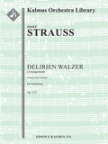 Delirien Walzer, Op. 212 [arrangement] Cover Image