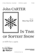 In Time of Softest Snow Cover Image