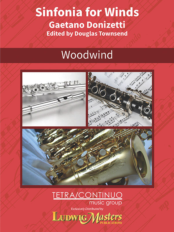 Sinfonia for Winds in G minor, A 509 (Sinfonia für Bläser) Cover Image