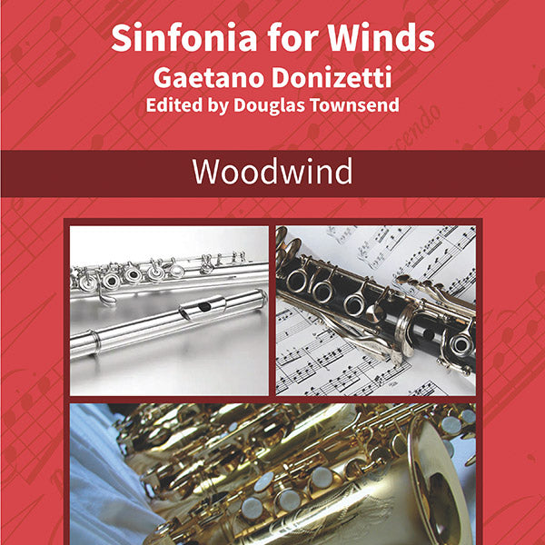 Sinfonia for Winds in G minor, A 509 (Sinfonia für Bläser) Cover Image