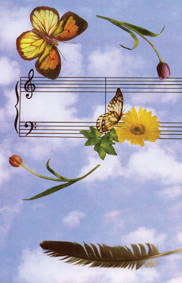 Schaum Recital Programs (Blank) #25: Butterflies with Staff Cover Image